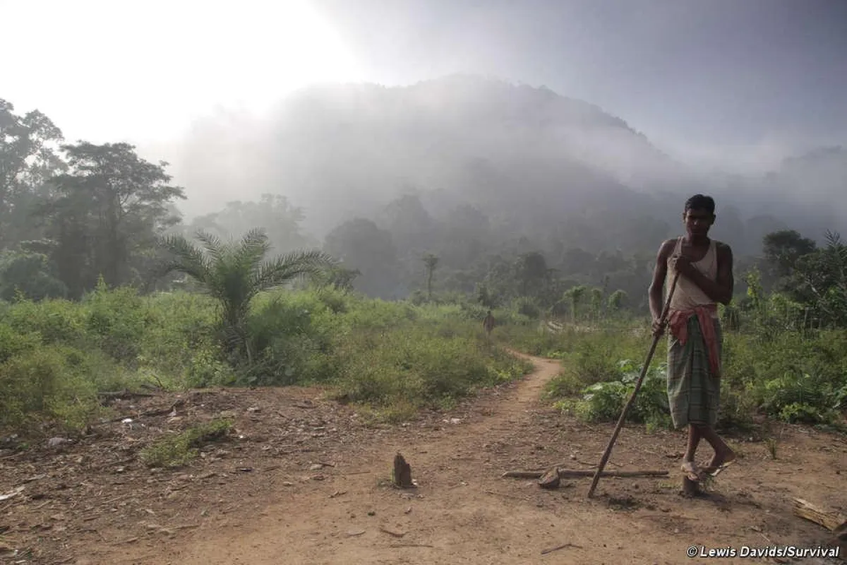 Ein Dongria steht am Fuß von Niyamgiri, wo das indigene Volk sein Fest feiert. © Survival