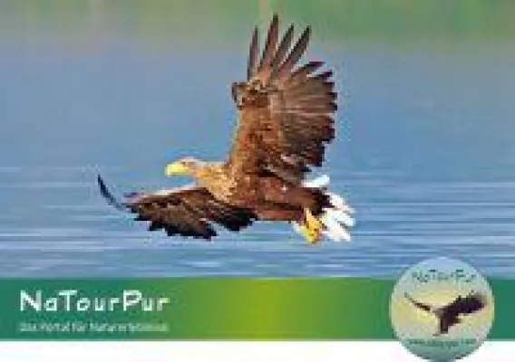 Bild: Touren für den Naturschutz bei NaTourPur