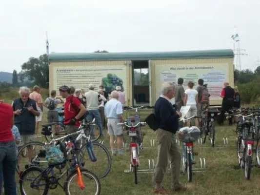 Bild: Am Sonntag Herbstfest der Aroniabeere am Elberadweg in Coswig-Brockwitz
