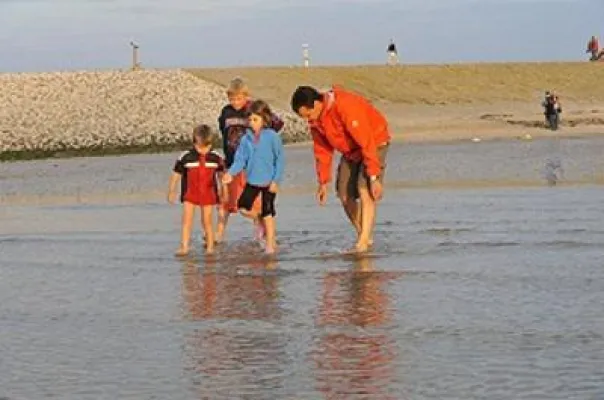 Bild: Wattwandern an der Nordsee und Kühe melken auf dem Bauernhof