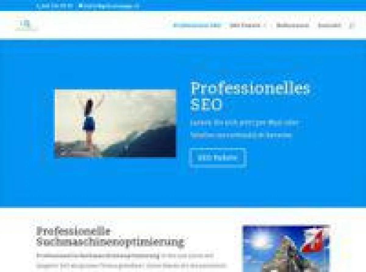 professionelle-suchmaschinenoptimierung.ch