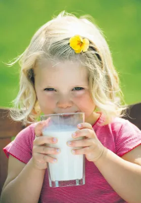 Bild: Sommerliches Traumpaar - Blüten und Milch Internationaler Tag der Milch auf dem Gartenschaugelände in Rain