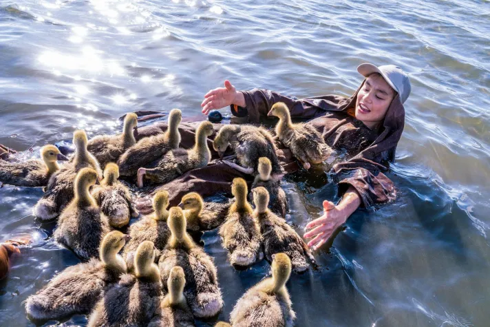 Bild: SommerKinoFerien - 5 Sommerfilme aus 5 Ländern für 5 Altersgruppen
