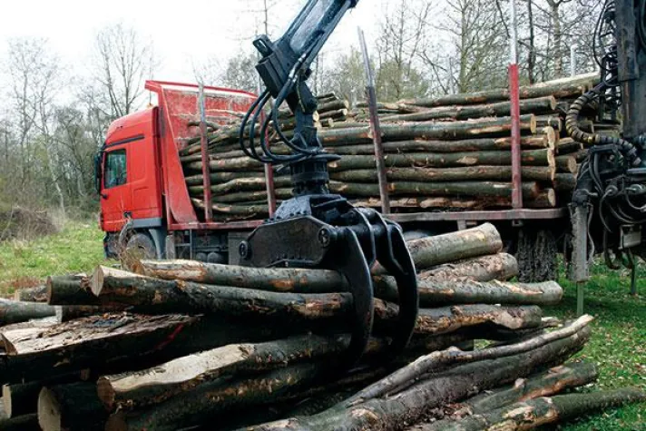 YellowFox unterstützt den Schutz vor Holzdiebstahl Bild: YellowFox unterstützt den Schutz vor Holzdiebstahl