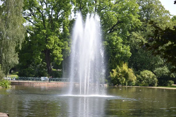 Bild: Psychotherapie neu gedacht Betipul-ISFT