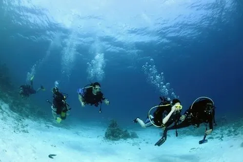 Bild: Ayada Maldives Resort: Einmaliges Taucherlebnis im größten Atoll der Malediven