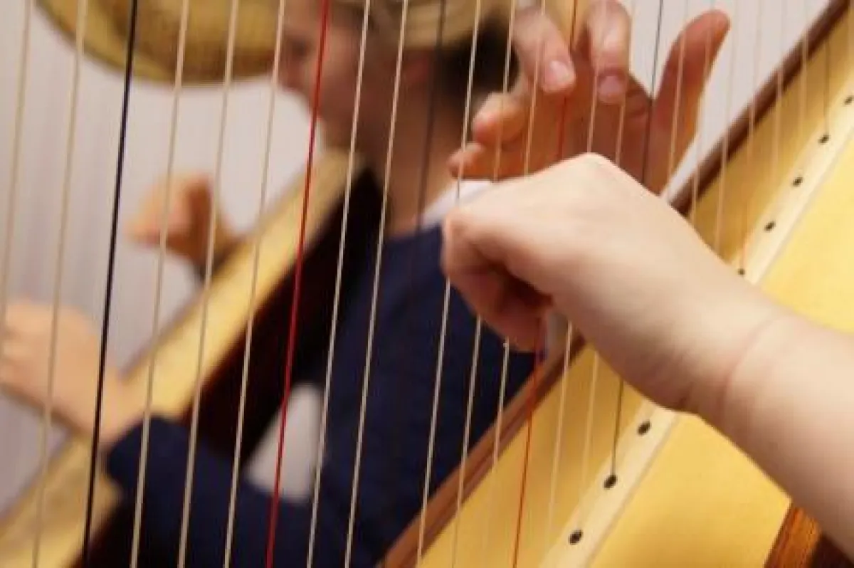 Harfe - Instrument des Jahres 2016 (Foto: Hartmut Schröder)