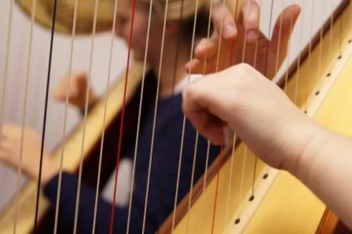 Bild: Die Harfe ist das Instrument des Jahres 2016