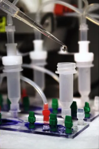 Bild: Leber auf dem Chip ersetzt Tierversuche