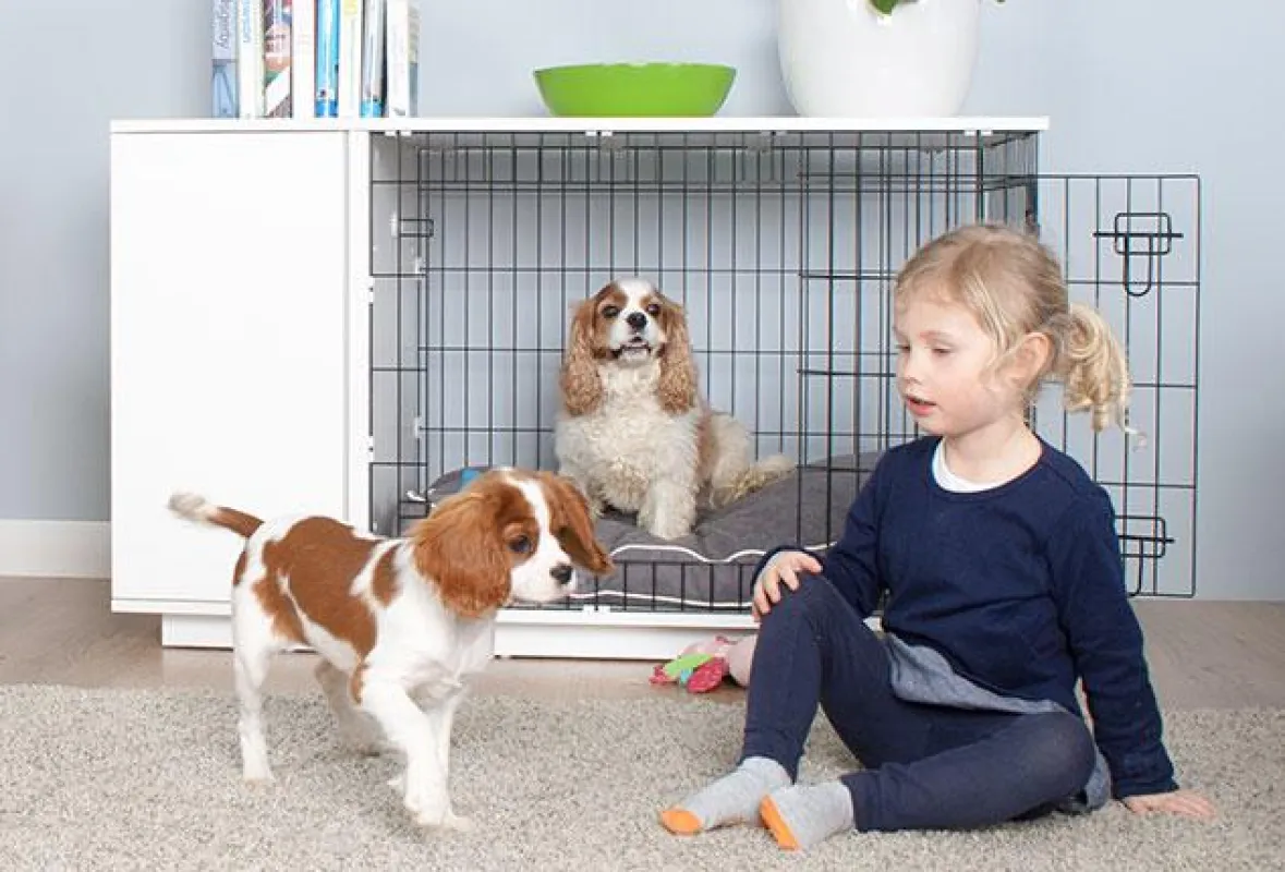 Eine Hundeecke auf die man stolz sein kann