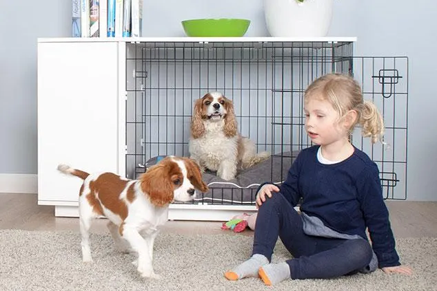 Die weltweit erste Hundebox mit integriertem Kleiderschrank Bild: Die weltweit erste Hundebox mit integriertem Kleiderschrank
