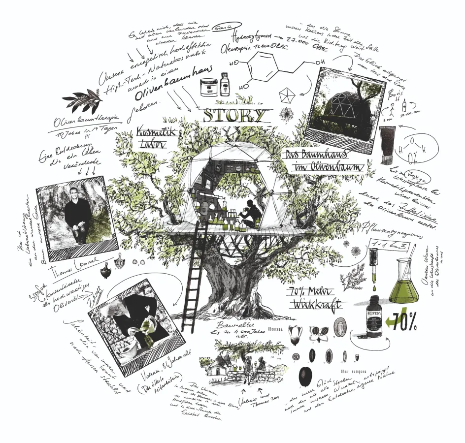 Vom Baumhaus in die Welt: OLIVEDA erobert den US-Markt (© OLIVEDA)