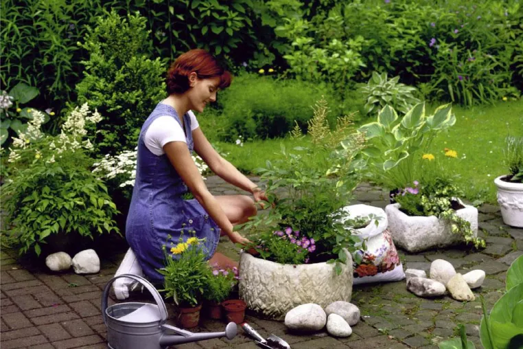 Frühjahrskur für den Garten Bild: Frühjahrskur für den Garten