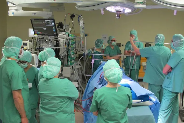 Bild: Tag der Patientensicherheit in Bad Oeynhausen