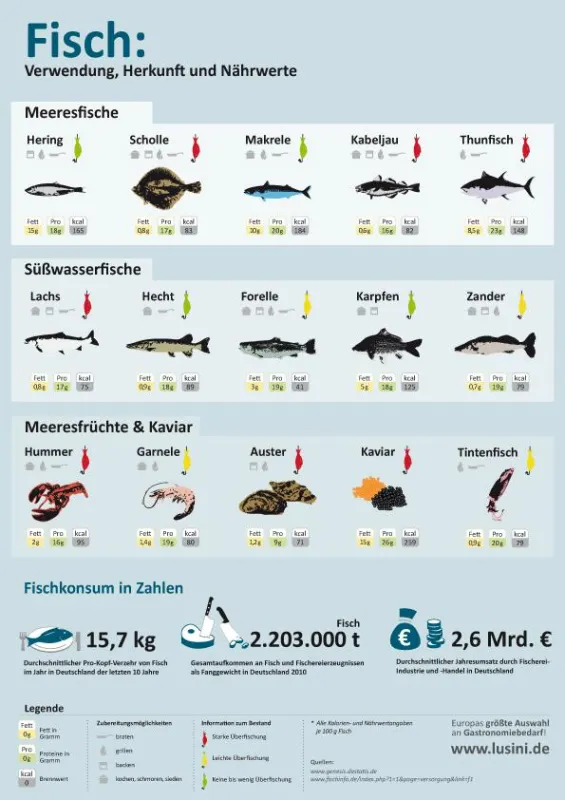 Infografik Fisch von Lusini.de