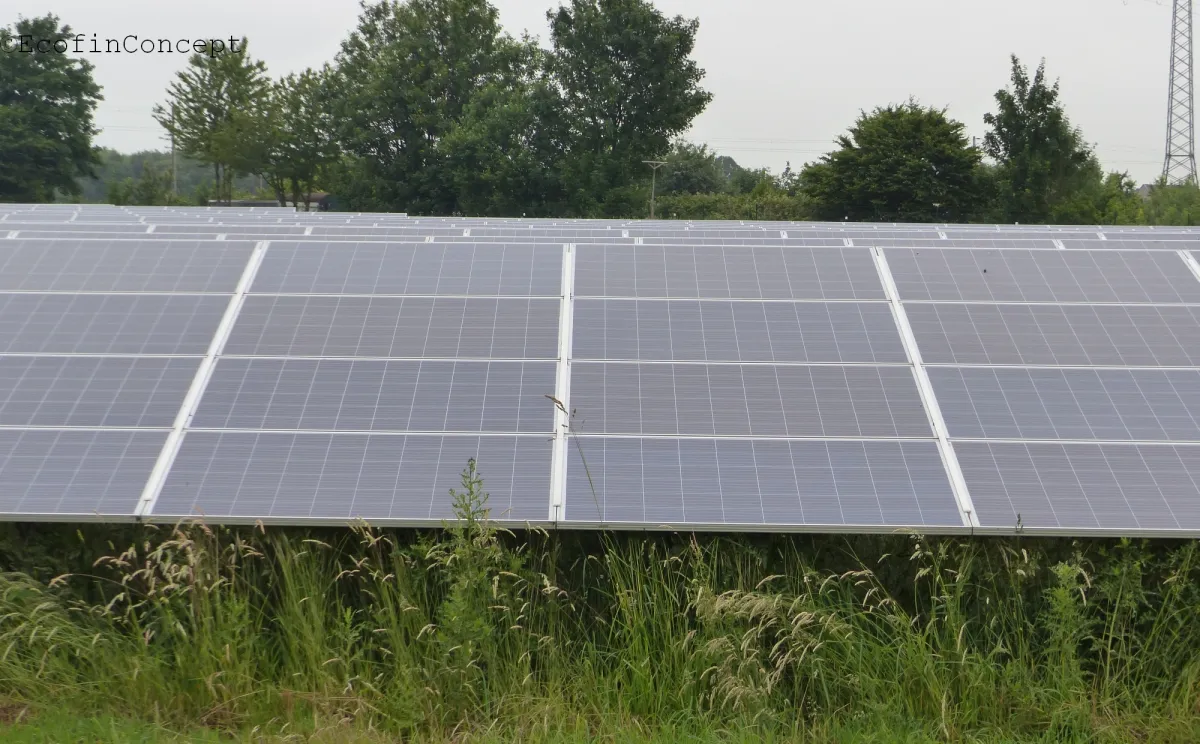 Solarpark Symbolbild (© ©EcofinConcept)