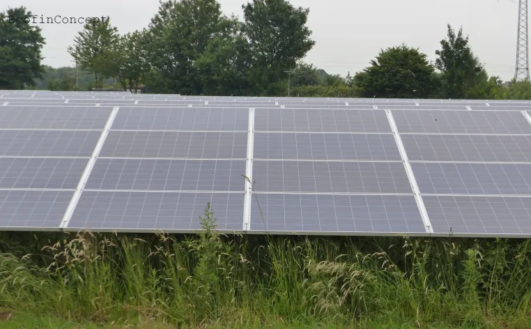 Bild: EcofinConcept realisiert Vermarktung von 6,9 MWp grossen Solarparks 