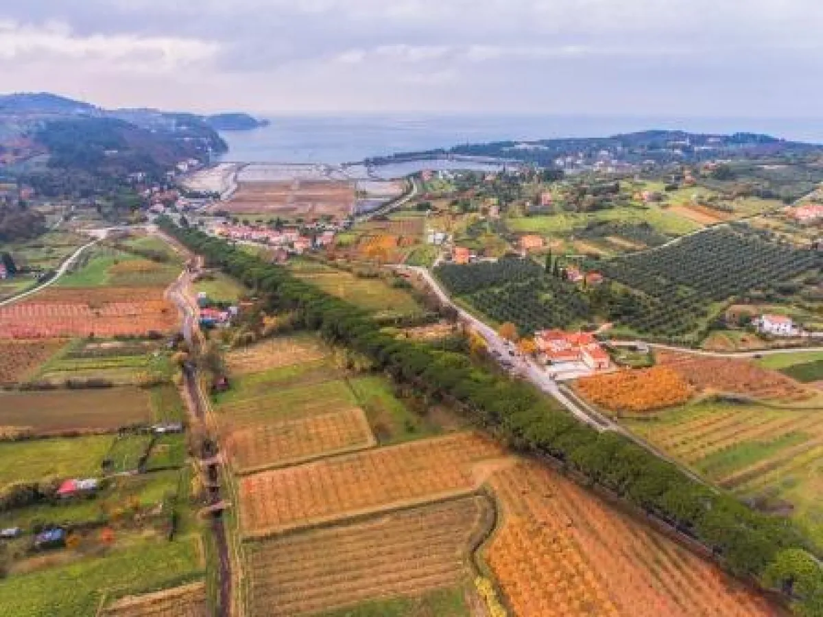 Herbstlandschaft in Portoro? und Piran