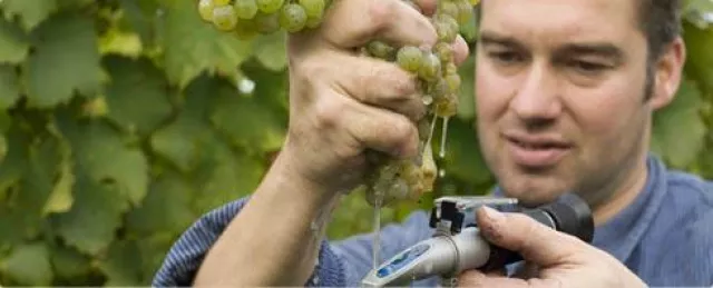 Bild: BELViNi.DE Weinversand startet mit neuem Spitzenweingut Philipp Kuhn durch