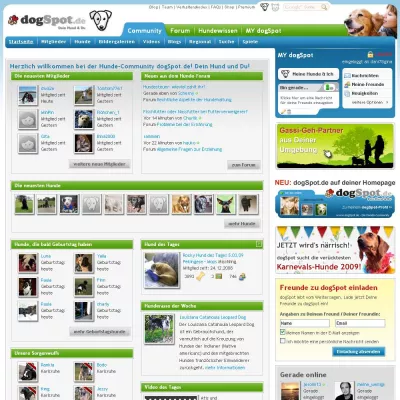 Bild: 95 Prozent der deutschen Hundebesitzer würden für ihren Hund den Partner rausschmeißen