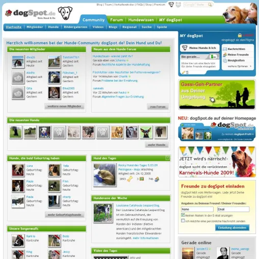 95 Prozent der deutschen Hundebesitzer würden für ihren Hund den Partner rausschmeißen Bild: 95 Prozent der deutschen Hundebesitzer würden für ihren Hund den Partner rausschmeißen