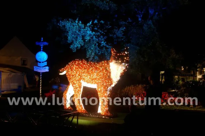 Bild: Der größte Luchs im Harz