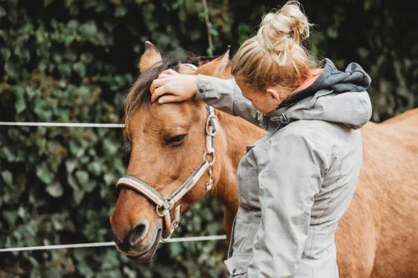 Intensiv Ausbildung zum Pferdegestützten Coach Bild: Intensiv Ausbildung zum Pferdegestützten Coach