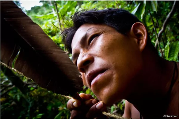Bild: Indigene im Amazonas-Regenwald vereinigt gegen kanadischen Ölkonzern