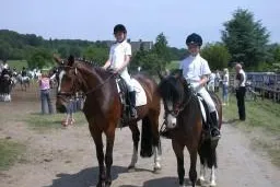 Siegesserie geht im FIRST-TEAM Reitsportverein weiter Bild: Siegesserie geht im FIRST-TEAM Reitsportverein weiter