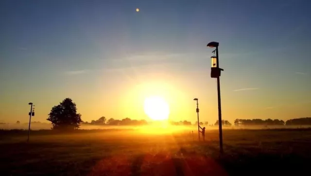 Bild: Fataler Insektenstaubsauger: Uferbeleuchtung