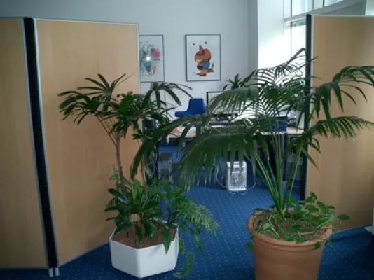 Bild: Raumakustik verbessern und Raumkosten senken in der Touristik – Branche