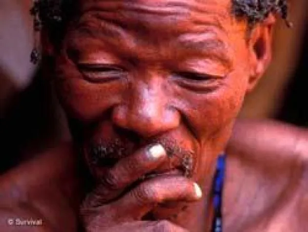 Bild: Botswana: Regierung nimmt Buschleute Jäger ins Visier