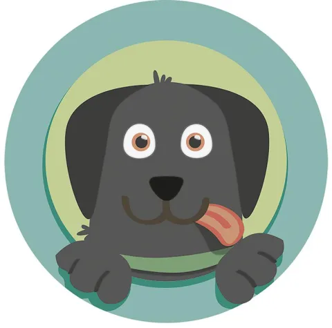 Bild: Alles mit Hund: Tipps und Ideen für Hundehalter