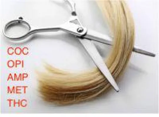 Bild: Drogenscreening der Haare diskret und sicher online abwickeln