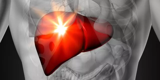 Bild: Leber entgiften und Darm reinigen: PMA-Zeolith® unterstützt Ihre Gesundheit