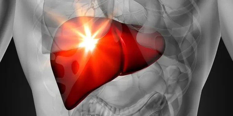 Bild: Leber entgiften und Darm reinigen: PMA-Zeolith® unterstützt Ihre Gesundheit