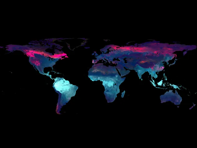 Bild: Machiavelli im Management 