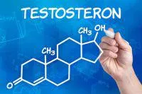 Bild: Testosteron steigern - Warum Testosteron so wichtig für den männlichen Organismus ist!