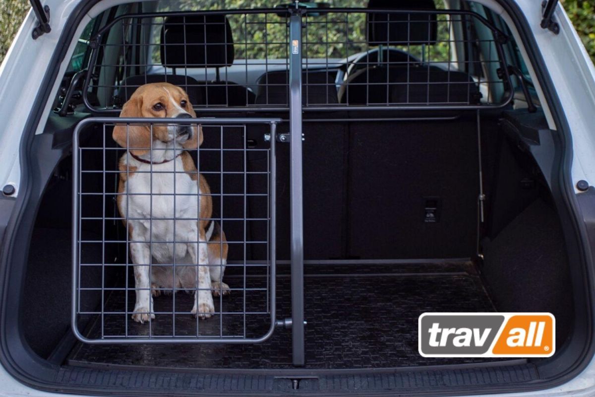 Hunde mit einem modularen Transportsystem im Auto sichern - openPR
