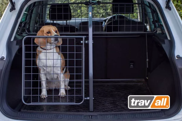 Bild: Hunde mit einem modularen Transportsystem im Auto sichern
