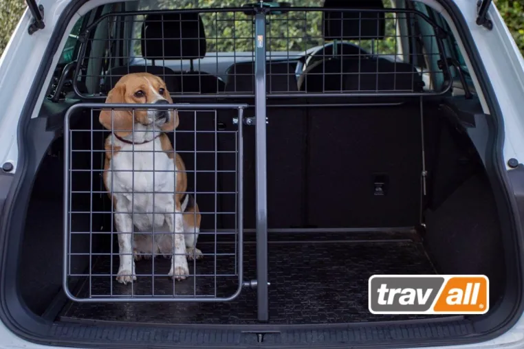 Hunde mit einem modularen Transportsystem im Auto sichern Bild: Hunde mit einem modularen Transportsystem im Auto sichern