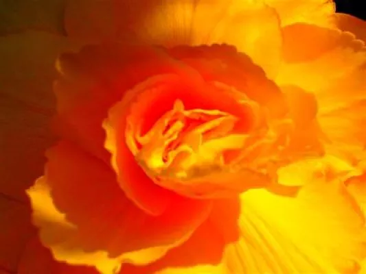 Kraftzentrale Beckenboden - ein Yoga-Wochenende mit Adelheid Kaehler Bild: Kraftzentrale Beckenboden - ein Yoga-Wochenende mit Adelheid Kaehler