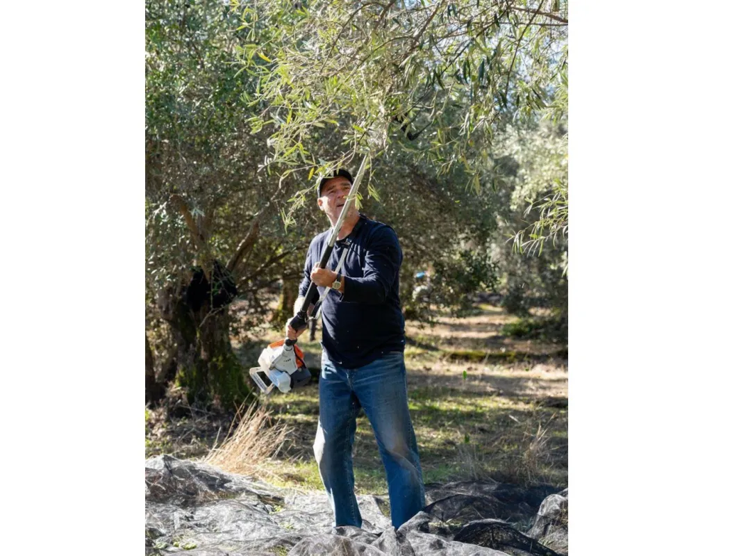 Olive Tree Farmer Thomas Lommel (© Oliveda )