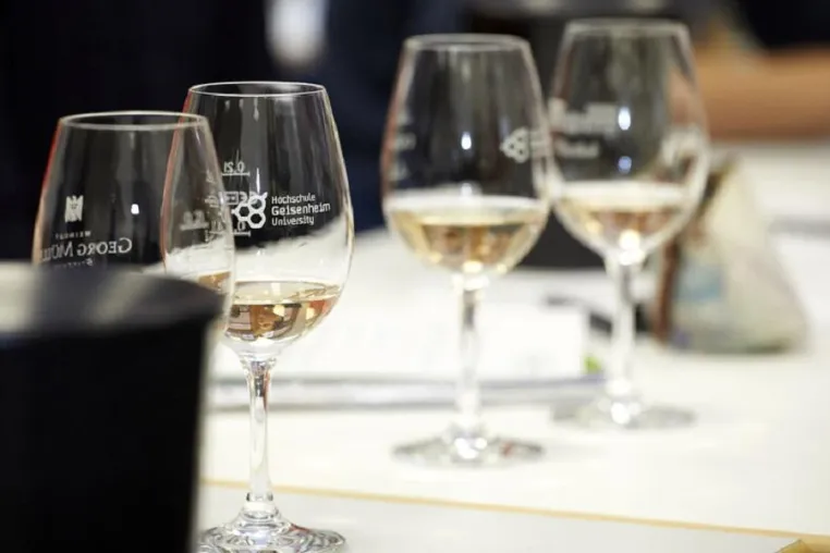 Bild: Management in der Weinwirtschaft: HS Geisenheim führt zum Sommersemester 2021 ersten MBA-Studiengang ein