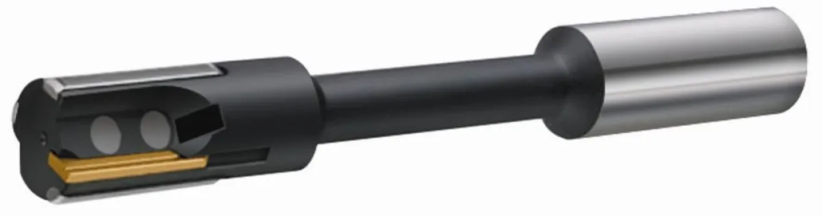 Das neue Reibahlen-Programm von WALTER besteht aus leistengeführten Einschneiderwerkzeugen mit einstellbaren, zweischneidigen Wendeplatten aus Hartmetall oder Cermet.