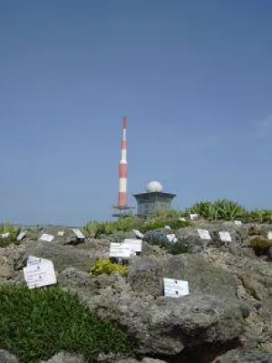 Bild: Harz-Urlaub online buchen - Erstes Buchungsportal mit Pauschalreisen aus dem Gesamtharz geht online