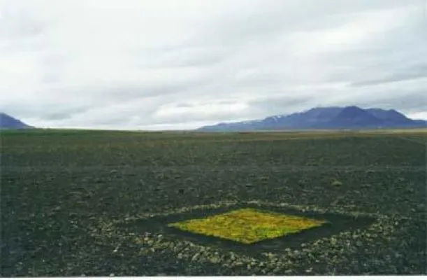 Bild: Kunst-Portal Artists.de präsentiert moderne, kuratierte Kunst von Margret Schopka