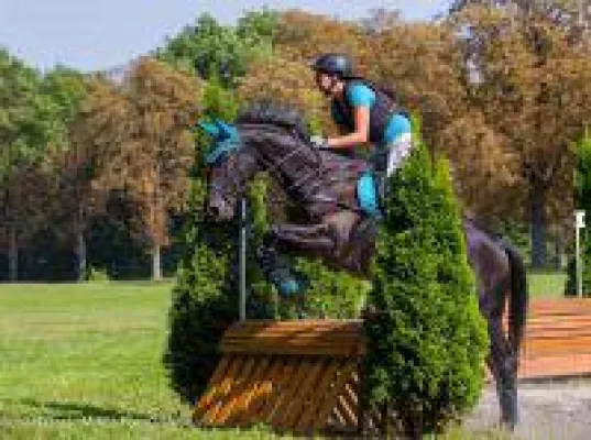 Bild: Für eine gefühlvolle Verbindung…