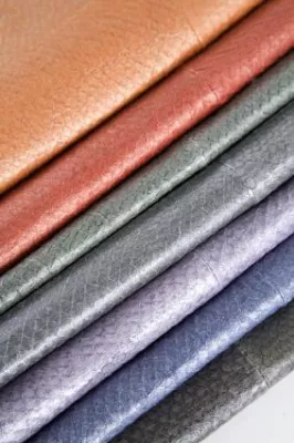 Bild: nanai und Premium Exhibitions: Beginn einer Erfolg versprechenden Partnerschaft