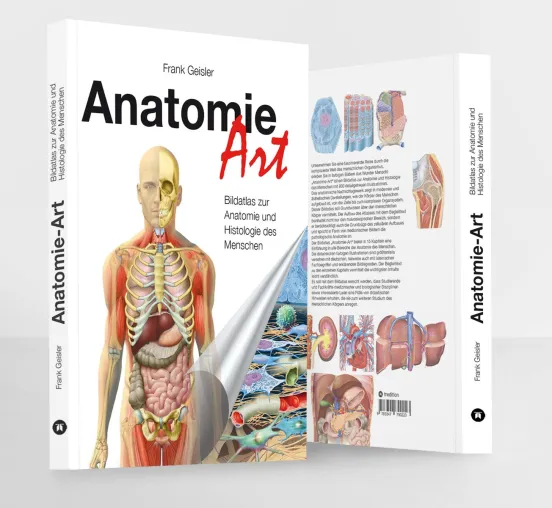 Anatomie-Art, Bildatlas zur Anatomie und Histologie des Menschen Bild: Anatomie-Art, Bildatlas zur Anatomie und Histologie des Menschen